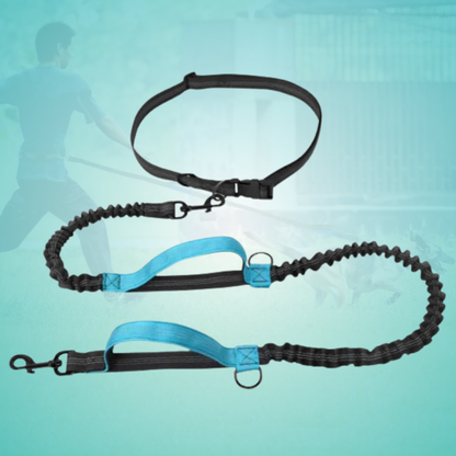 FlexLeash Pro - Die Hundeleine