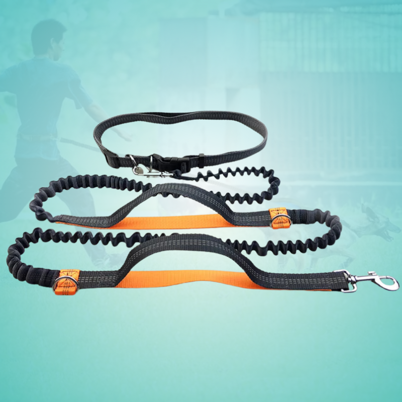 FlexLeash Pro - Die Hundeleine