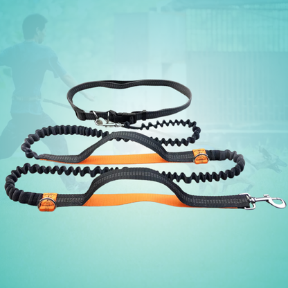 FlexLeash Pro - Die Hundeleine