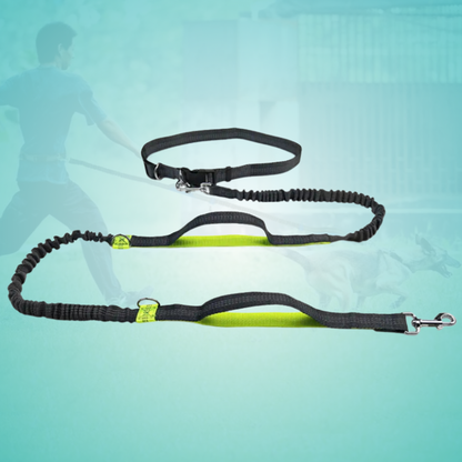 FlexLeash Pro - Die Hundeleine